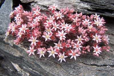 Edremit Turizm Danışma